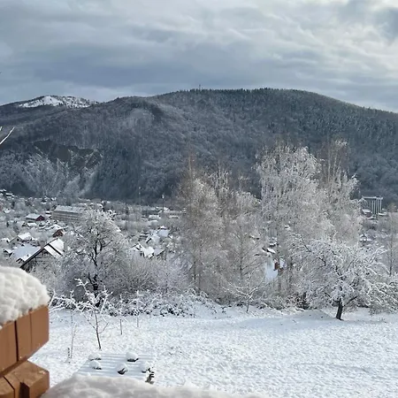 Perfect Holiday home Yaremche